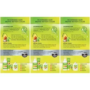 Garnier Hair Color Nutrisse Ultra Coverage Nourishing Creme, 200 Deep Soft Black (Black Sesame) Permanent Hair Dye, 3 Count (Packaging May Vary)