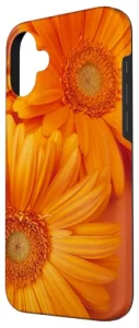iPhone 16 Plus Orange Gerber Daisy Flower Floral Flowers Daisies Gerbera Case
