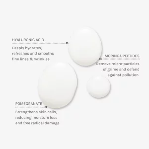 Evolve Organic Beauty - Natural Deep Clean Micellar Water | Small-Batch, Vegan Clean Beauty (6.4 Fl Oz | 190 Ml)