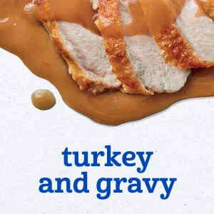 Gerber Baby Foods 2Nd Foods Meat, Turkey & Gravy, Mealtime For Baby, 2.5 Ounce Jar (Pack Of 10)