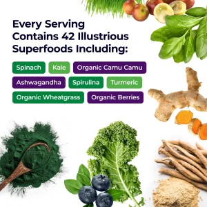 Paradise, ORAC Energy Greens Powder Extract, Super Antioxidants, Probiotics for Gut Health & Digestion, Vitamin C for Immunity, with Spirulina & Chlo