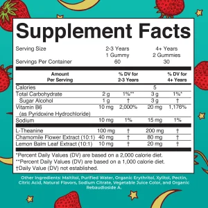 MaryRuth Organics Kids Nighttime Gummies | Sugar Free | NO Melatonin with L Theanine, Lemon Balm, Chamomile, Vitamin B6 | Relaxation Support for Kids